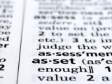 Definition Asset